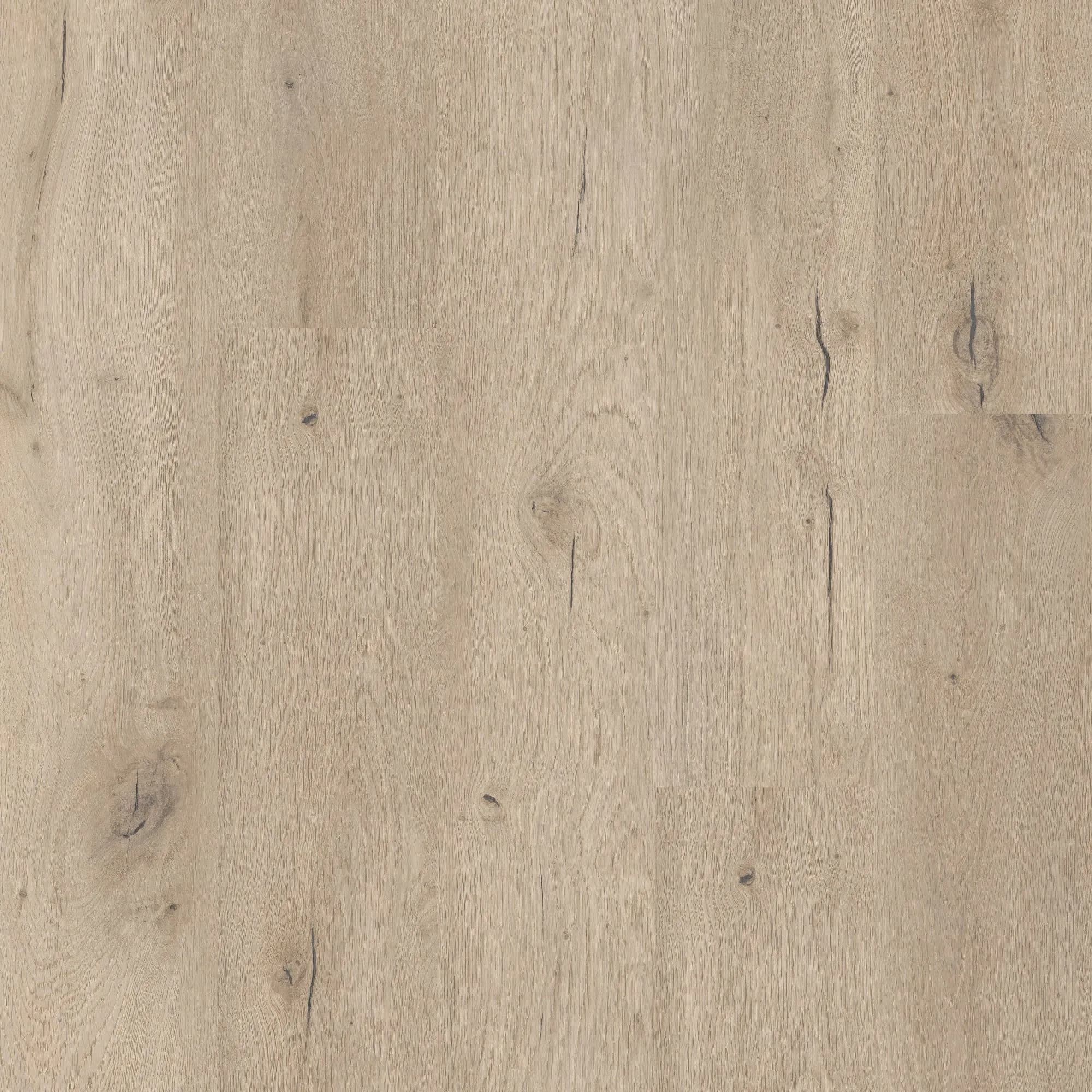 Coretec Vinylgulv Naturals Forest Oak