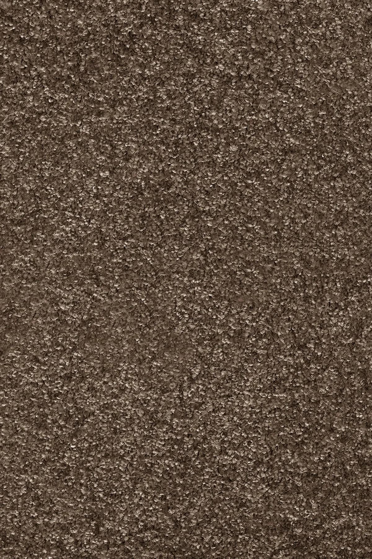 MODULTEPPE INVICTUS PRISCUS 40